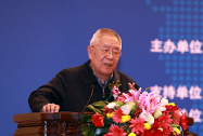 国务院新闻办原副主任杨正泉出席第一届大会并讲话